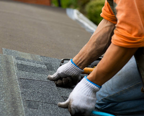 Best Metal Roofing Contractor  in Pine Ridge, SD