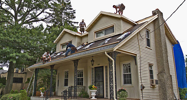 Best Shingle Roofing Installation  in Pine Ridge, SD