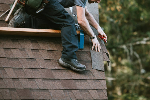 Best Commercial Roofing Services  in Pine Ridge, SD